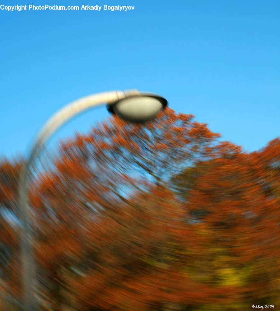 Lamp Post, Pole, Field, Grass, Grassland, Plant