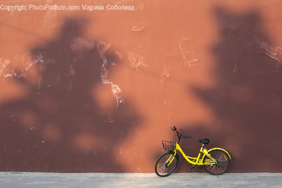 Bicycle, Bike, Transportation, Vehicle, Mountain Bike