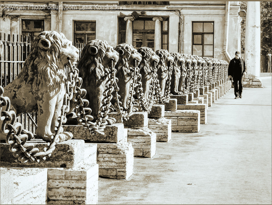 Army, Human, Military, Military Uniform, People