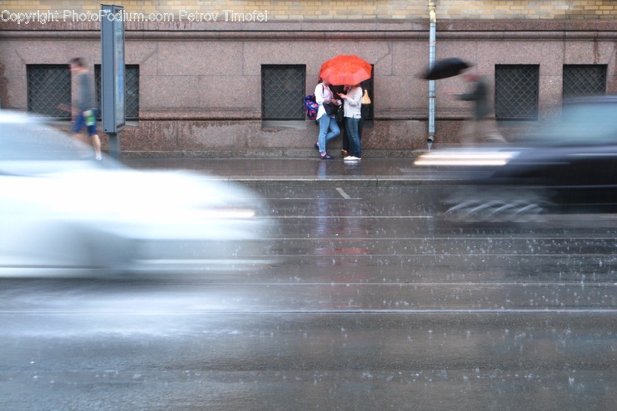 Human, People, Person, Canopy, Umbrella