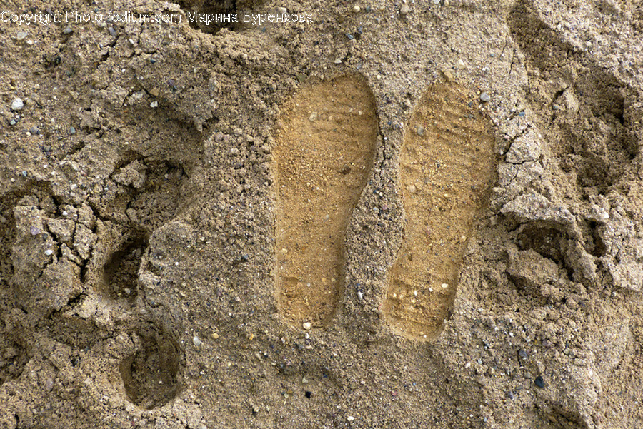 Footprint