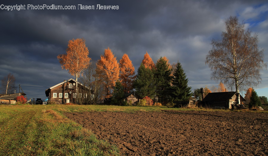 Building, Cottage, House, Housing, Countryside