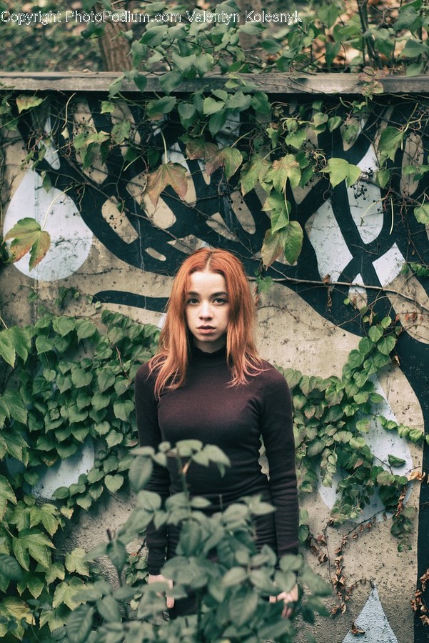People, Person, Human, Ivy, Plant