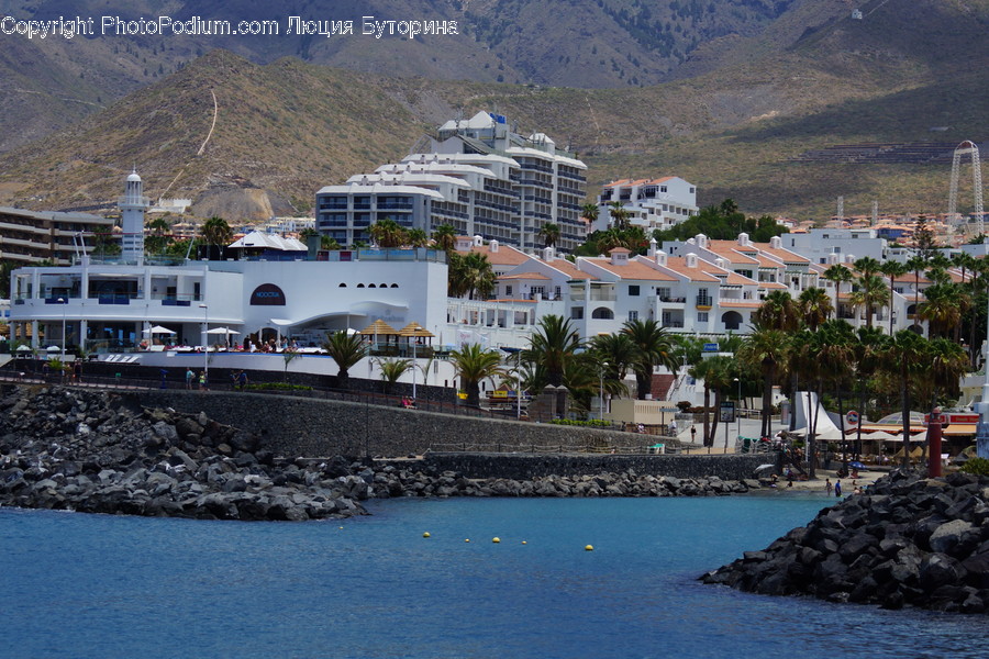 Boat, Cruise Ship, Ferry, Ocean Liner, Ship