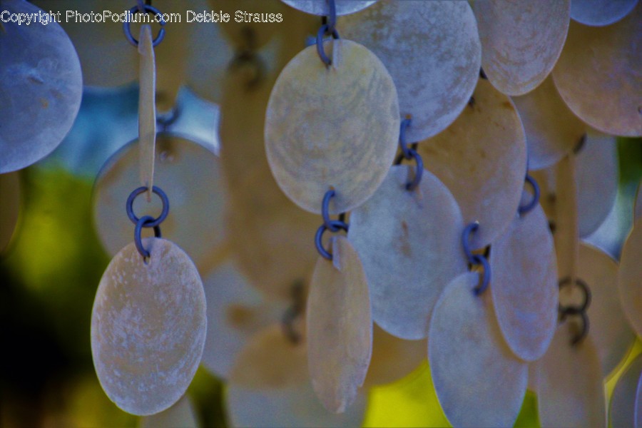 Flora, Food, Fruit, Grapes, Plant