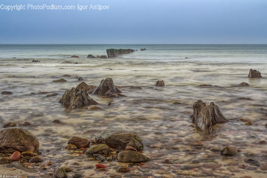 Tree Stump, Rock, Beach, Coast, Nature