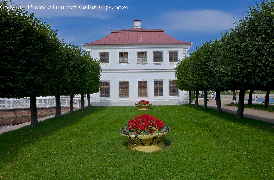 Building, House, Housing, Mansion, Park