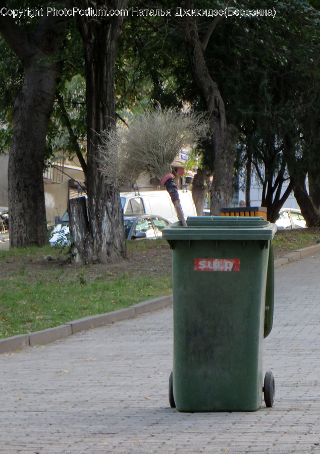 Aluminium, Can, Tin, Trash Can, Automobile
