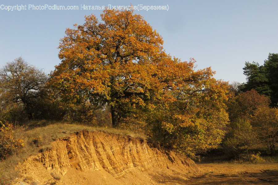 Dirt Road, Gravel, Road, Field, Grassland