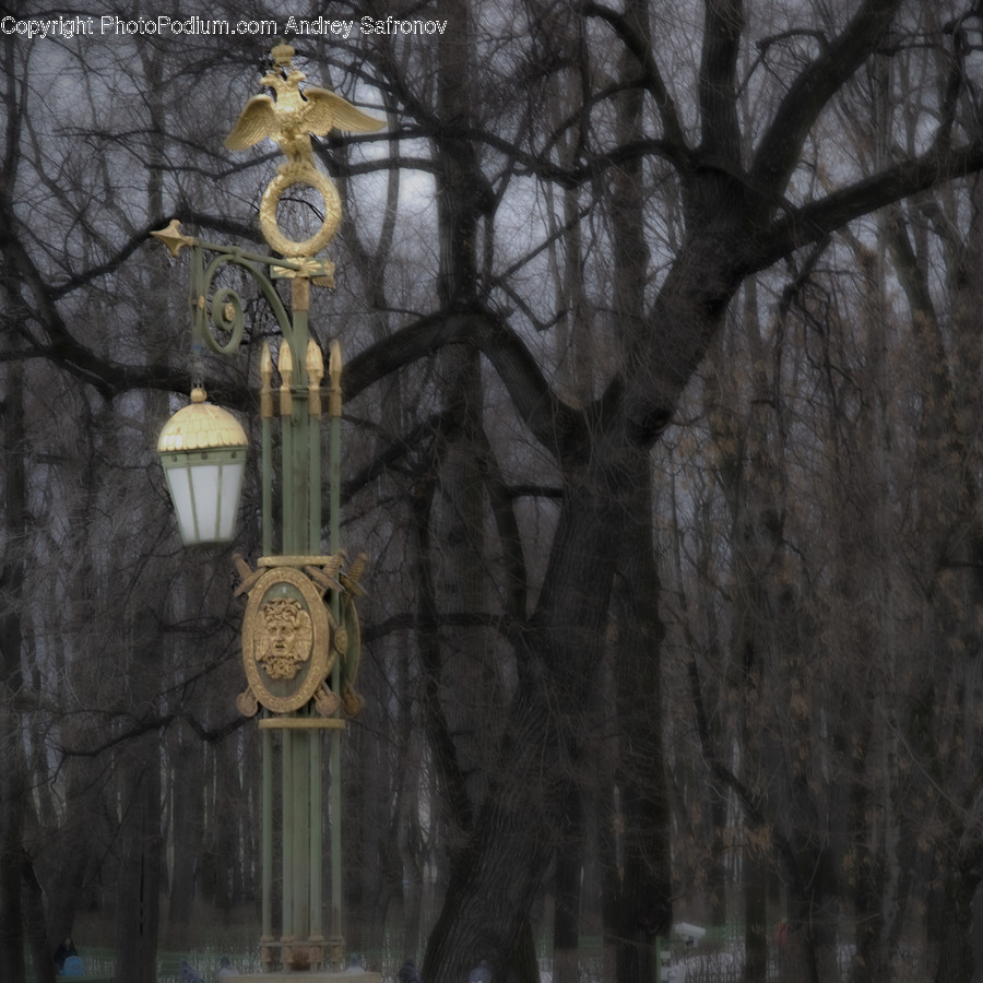 Architecture, Building, Clock Tower, Tower, Bell Tower