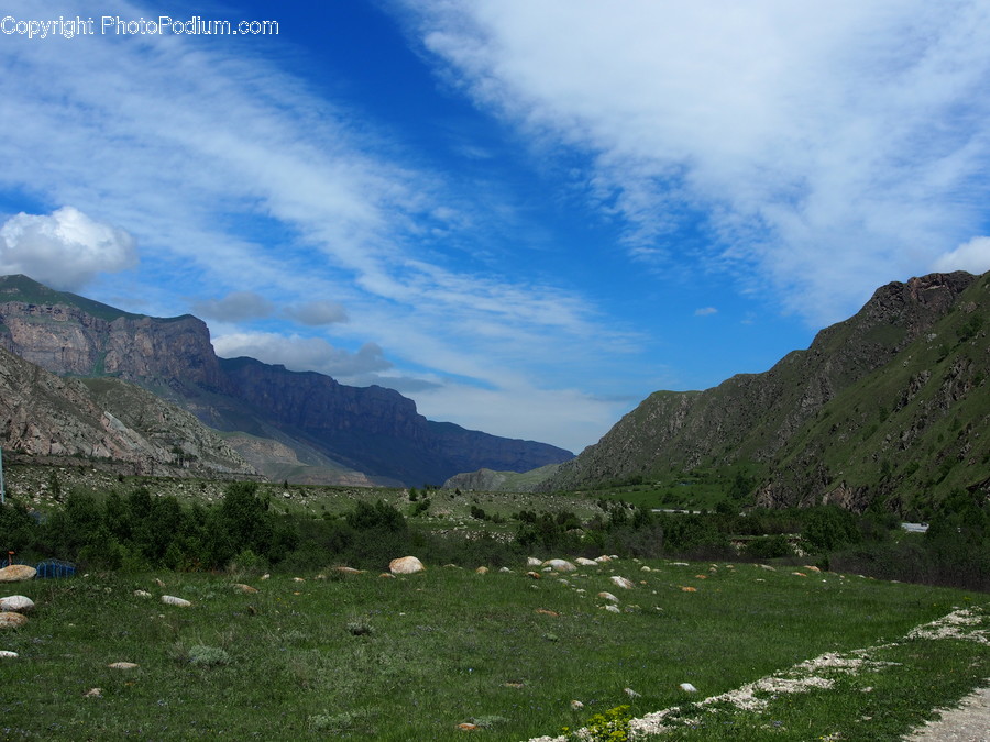 Field, Grass, Grassland, Land, Outdoors