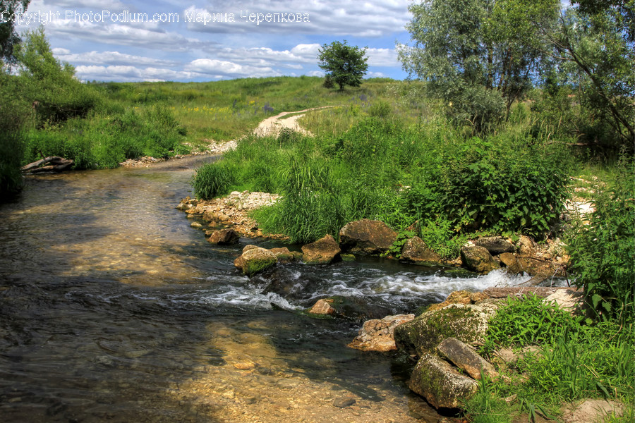 Creek, Outdoors, Stream, Water, Rock