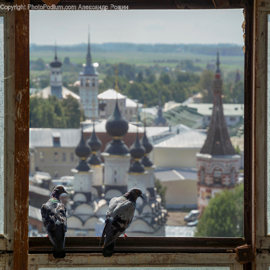 Architecture, Bell Tower, Building, Tower, Spire