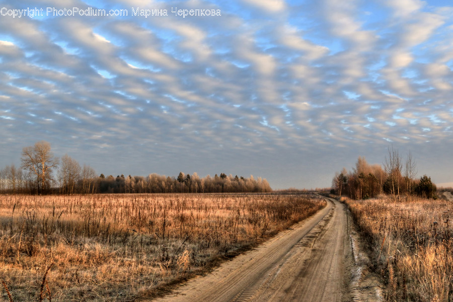 Dirt Road, Gravel, Road, Field, Grassland