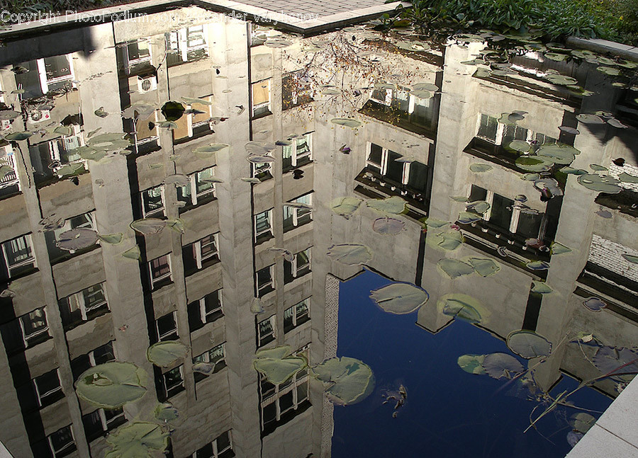 Apartment Building, Building, City, High Rise, Town