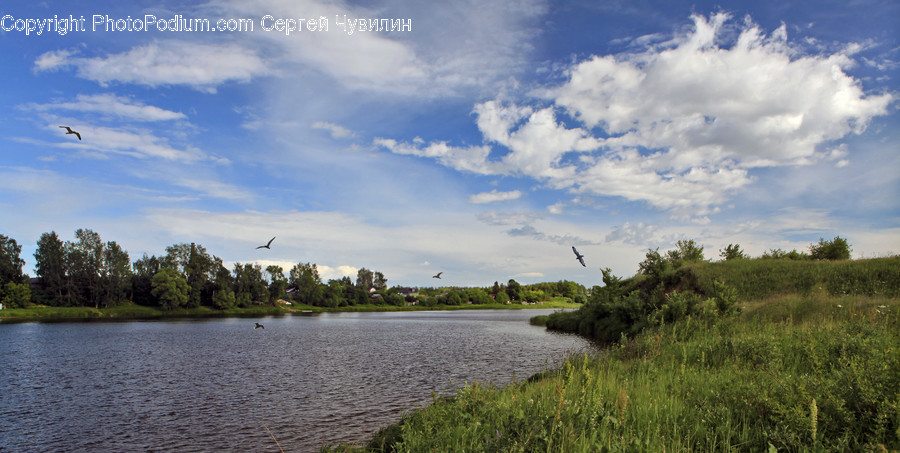 Cloud, Cumulus, Nature, Outdoors, Sky