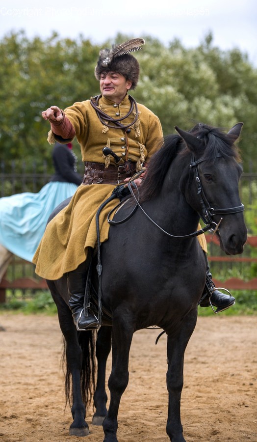 Animal, Equestrian, Horse, Human, Mammal