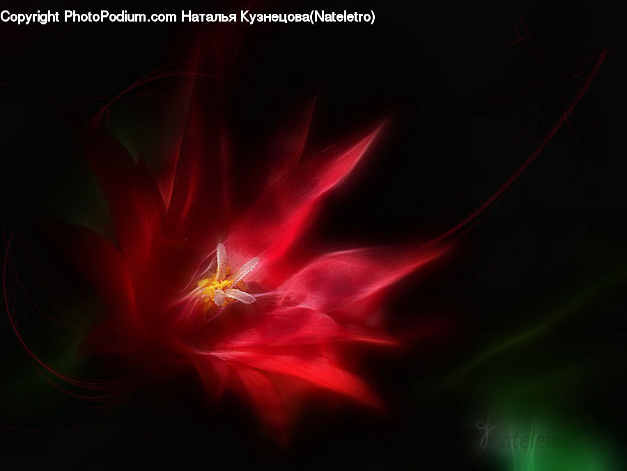 Fractal, Light