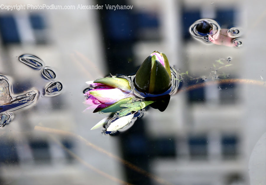 Logo, Trademark, Emblem, Water, Droplet