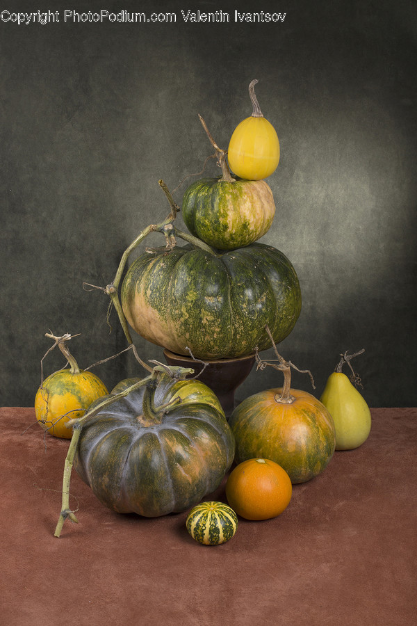 Flora, Food, Plant, Produce, Squash