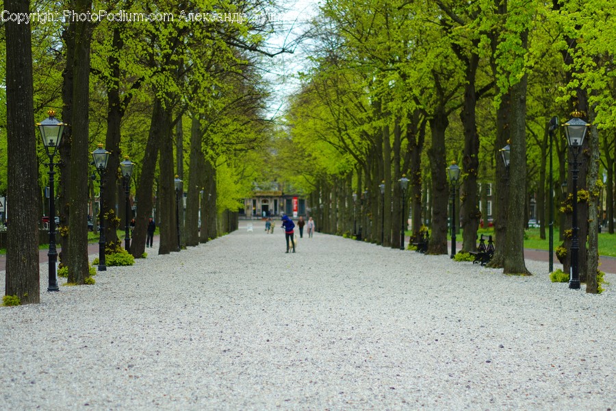 Path, Leisure Activities, Walking, Dirt Road, Gravel