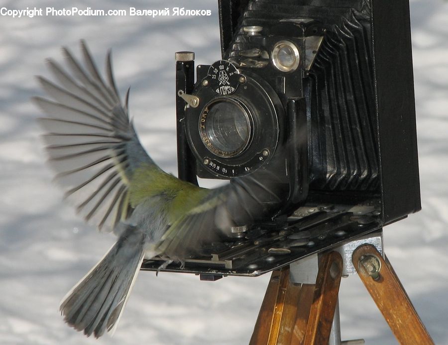 Camera, Electronics, Footwear, Shoe, Emblem, Logo