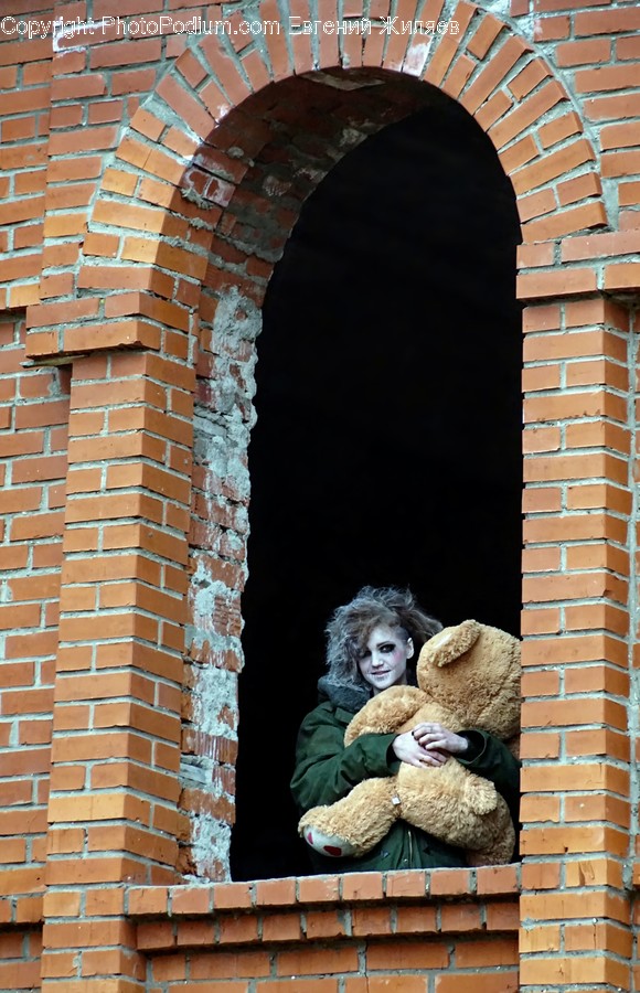 Teddy Bear, Toy, Window, Brick, Female