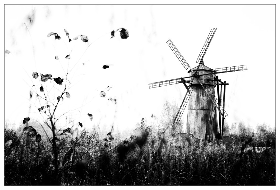 Countryside, Nature, Outdoors