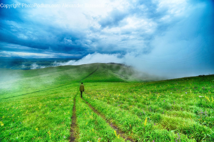 Field, Grassland, Outdoors, Dirt Road, Gravel