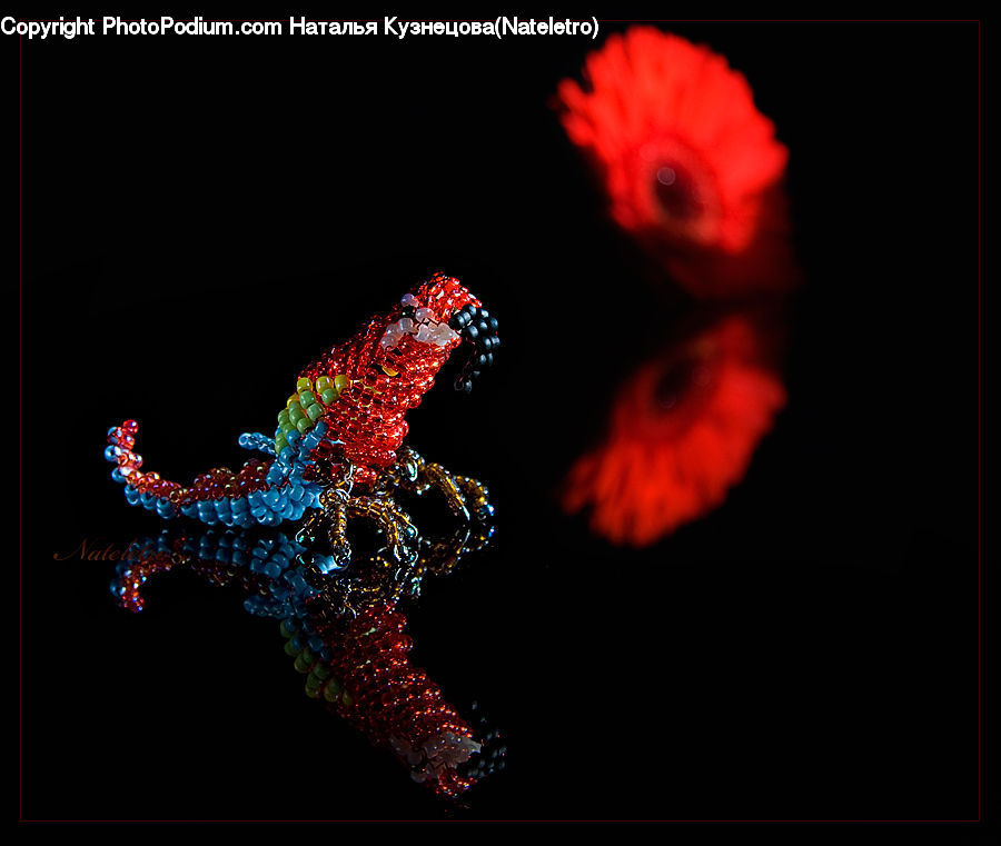 People, Person, Human, Dragon, Astronomy, Nebula, Outer Space