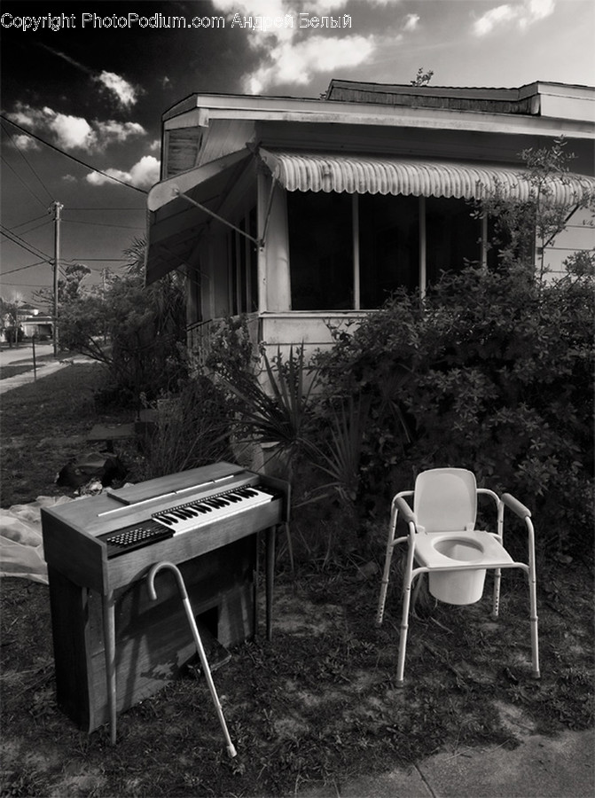Chair, Furniture, Leisure Activities, Music, Musical Instrument