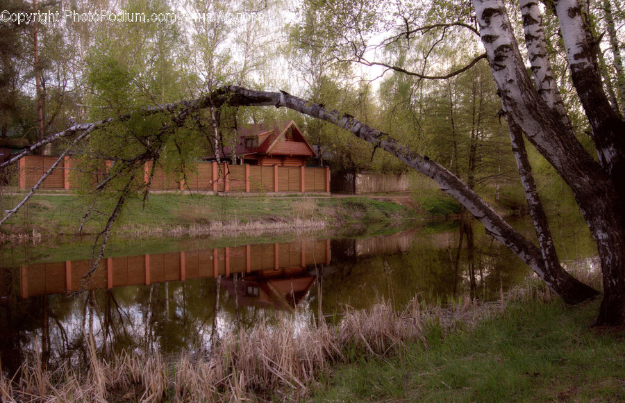 Building, Countryside, Hut, Nature, Outdoors