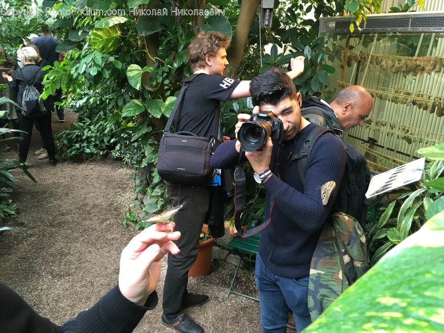 Human, People, Person, Photographer, Camera