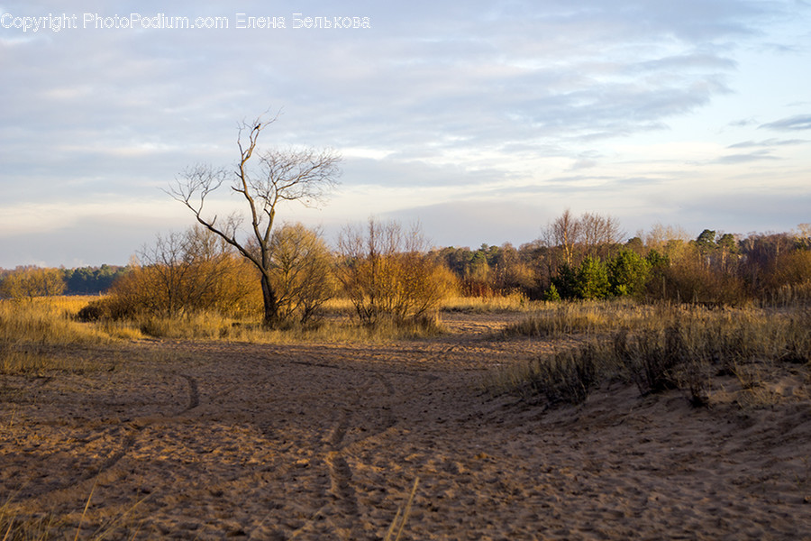 Dirt Road, Gravel, Road, Soil, Field