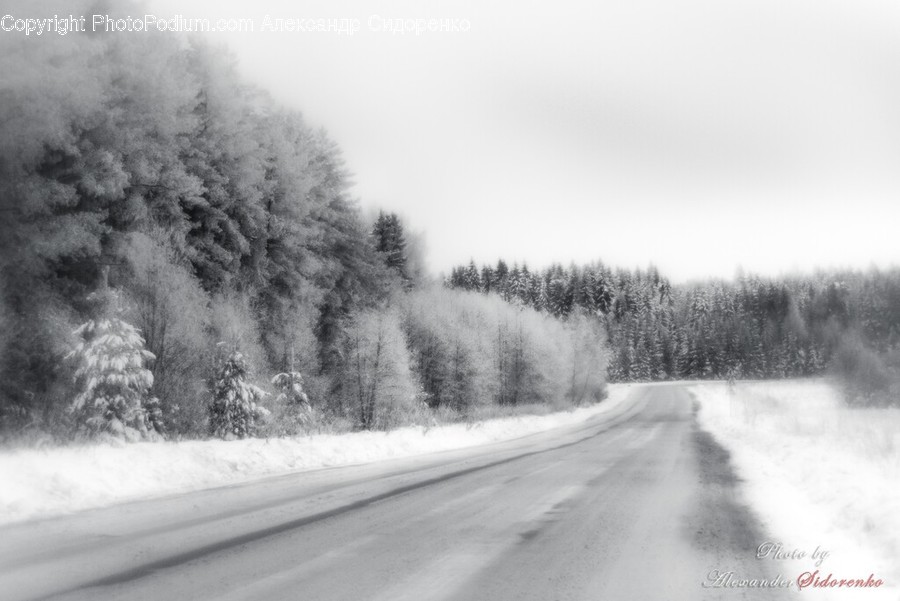 Road, Freeway, Highway, Countryside, Nature