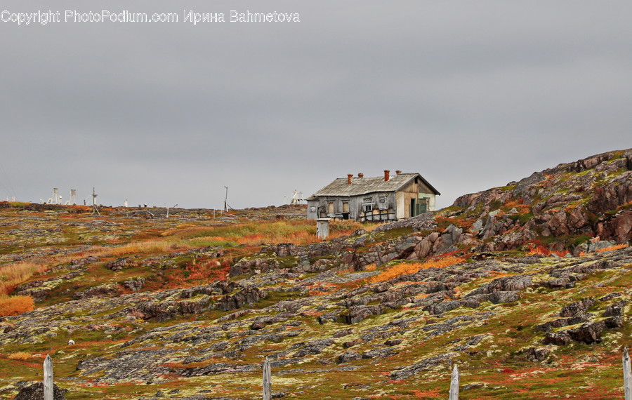 Building, Cottage, House, Housing, Field