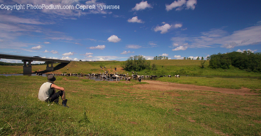 Aircraft, Airplane, Transportation, Countryside, Farm
