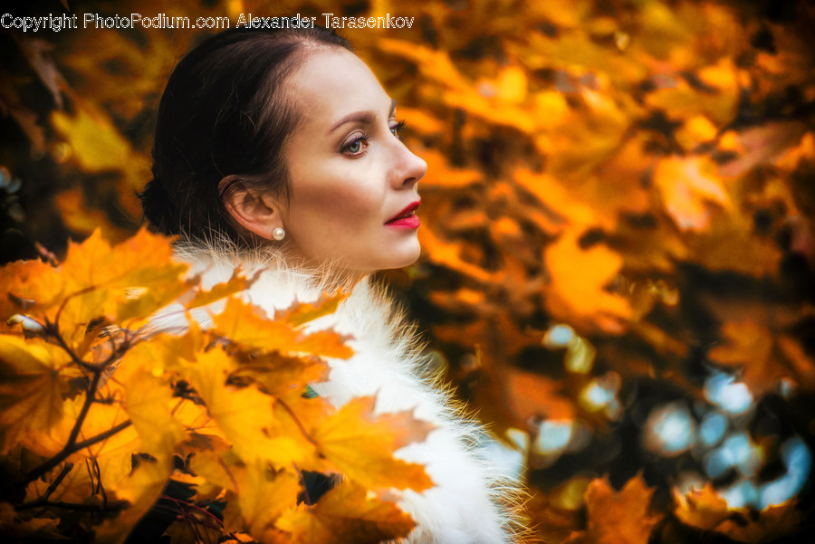 Human, People, Person, Clothing, Feather Boa