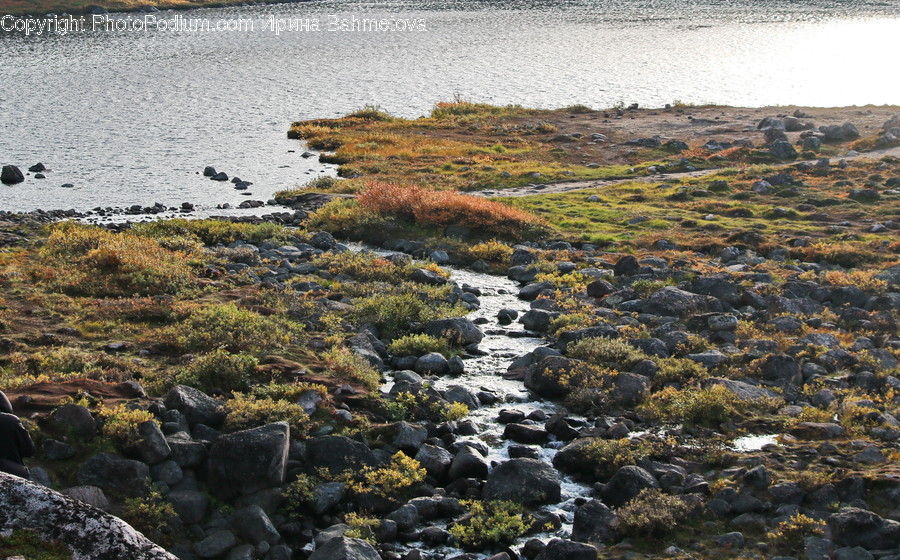 Coast, Nature, Ocean, Outdoors, Sea