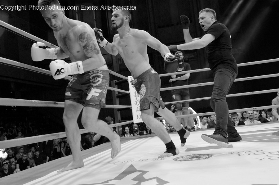 Boxing, Sport, Sports, Human, People