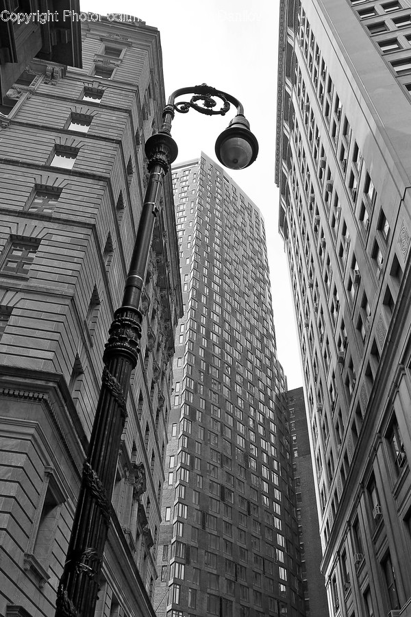 Architecture, Building, City, High Rise, Skyscraper