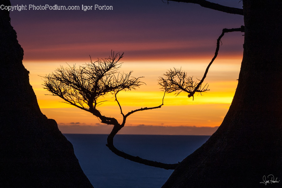 Dawn, Dusk, Nature, Outdoors, Red Sky