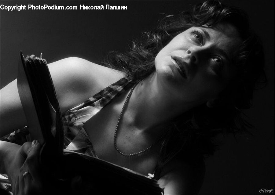 Female, Person, Portrait, Woman, Face