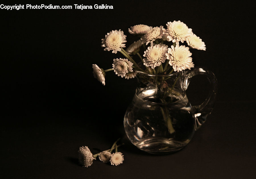 Glass, Goblet, Flower Arrangement, Ikebana, Plant, Potted Plant, Vase