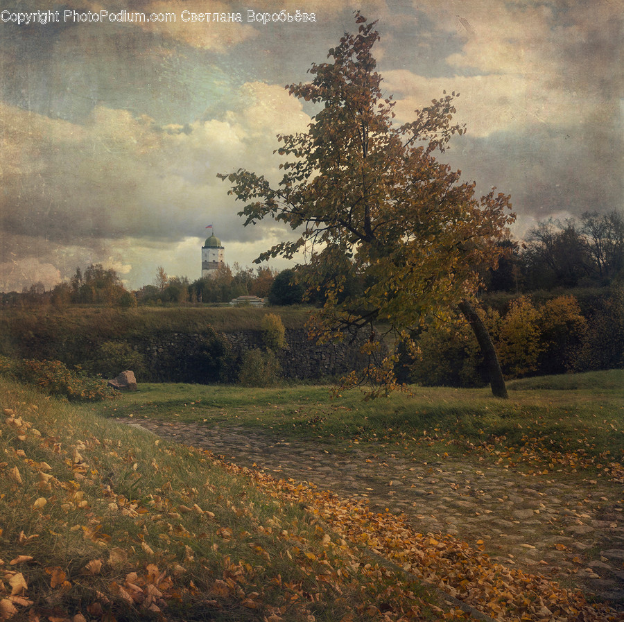Field, Grassland, Outdoors, Plateau, Dirt Road