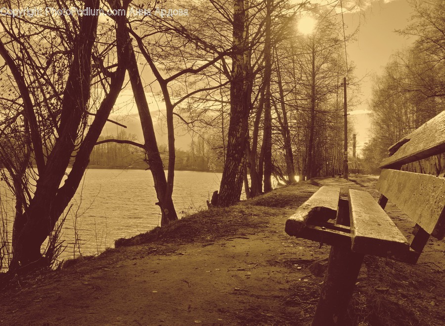 Park Bench, Dirt Road, Gravel, Road, Landscape