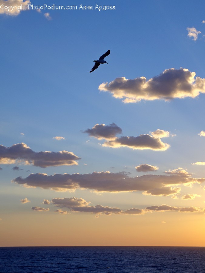 Outdoors, Sky, Cloud, Nature, Weather