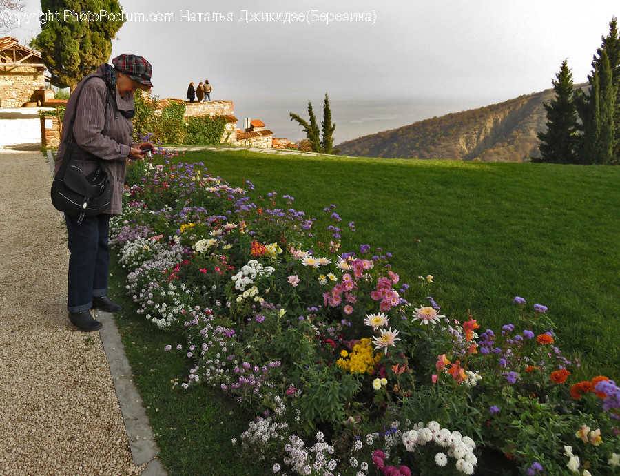 Human, People, Person, Flora, Plant