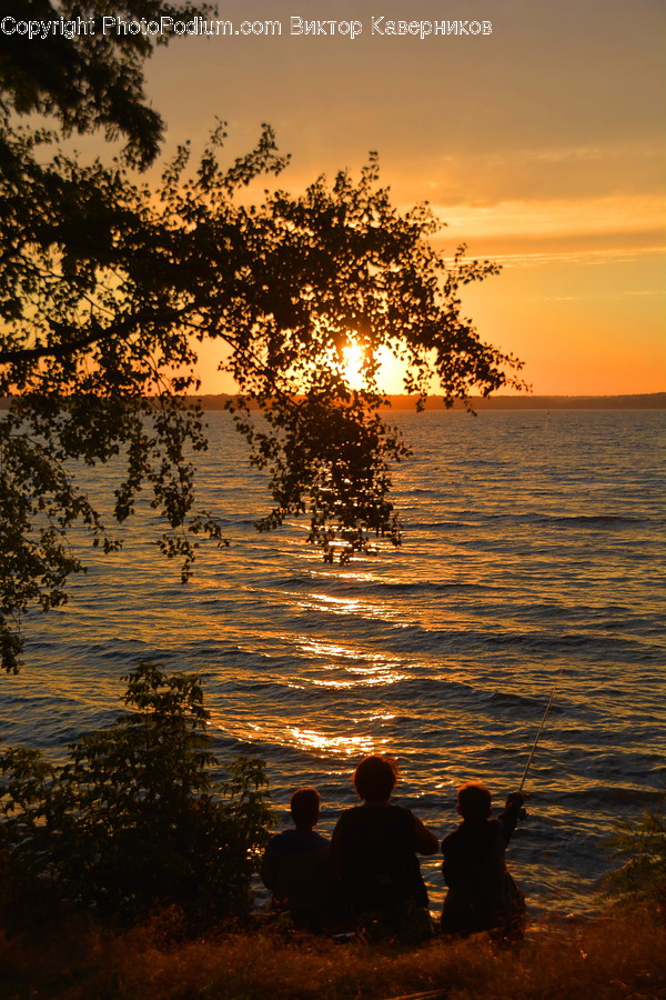 Silhouette, Fishing, Leisure Activities, Dawn, Dusk