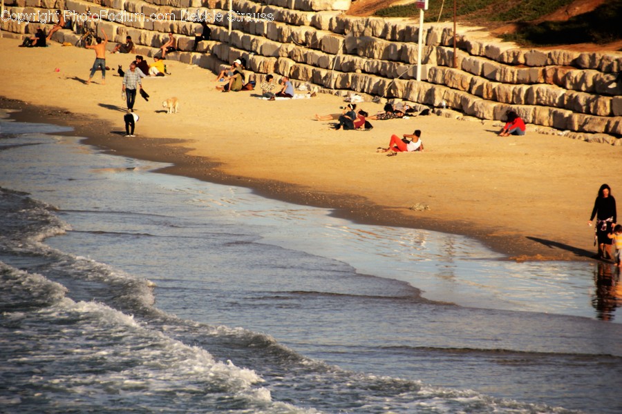 Beach, Coast, Nature, Ocean, Outdoors